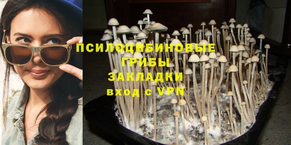 каннабис Абаза