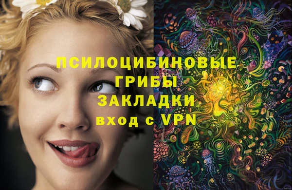spice Абдулино