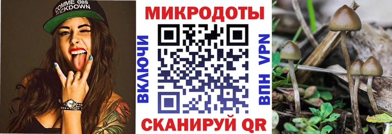 KRAKEN онион  Кудымкар  Галлюциногенные грибы Psilocybe 