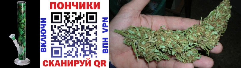 shop какой сайт  магазин продажи наркотиков  Кудымкар  Бошки Шишки White Widow 